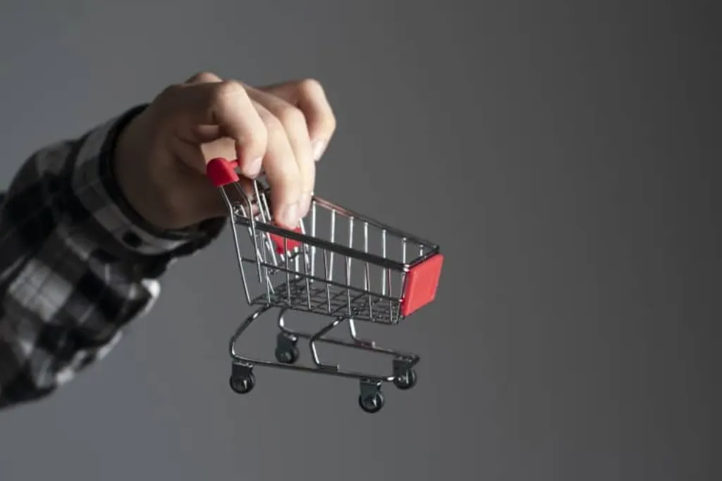 comercio electronico
