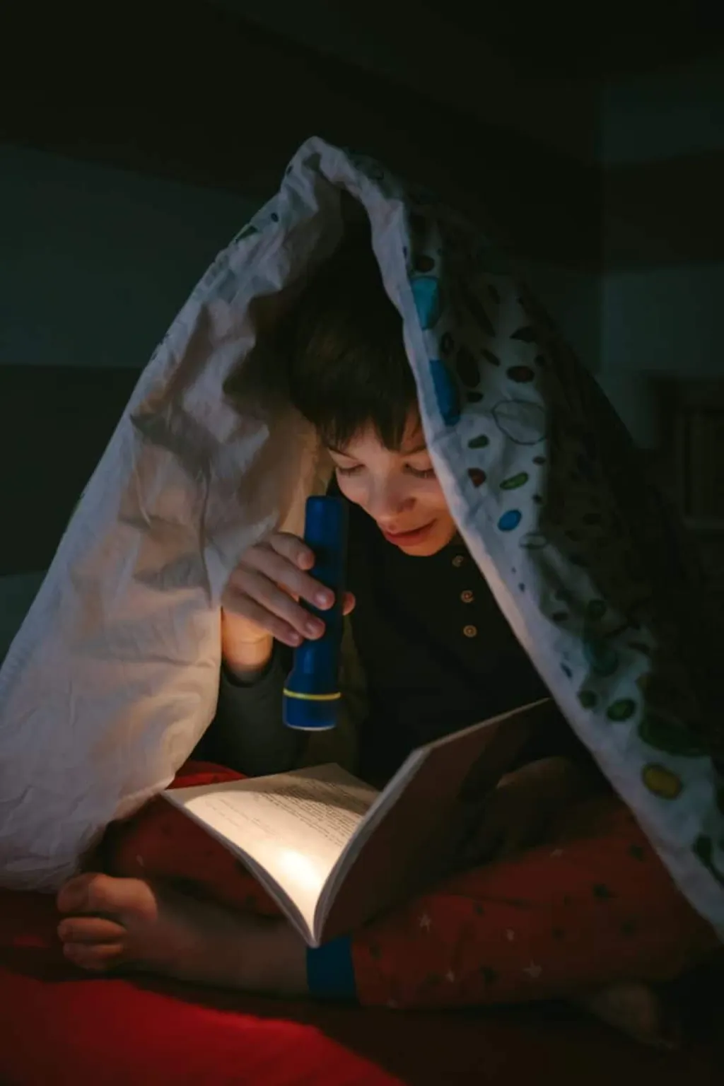 la lectura